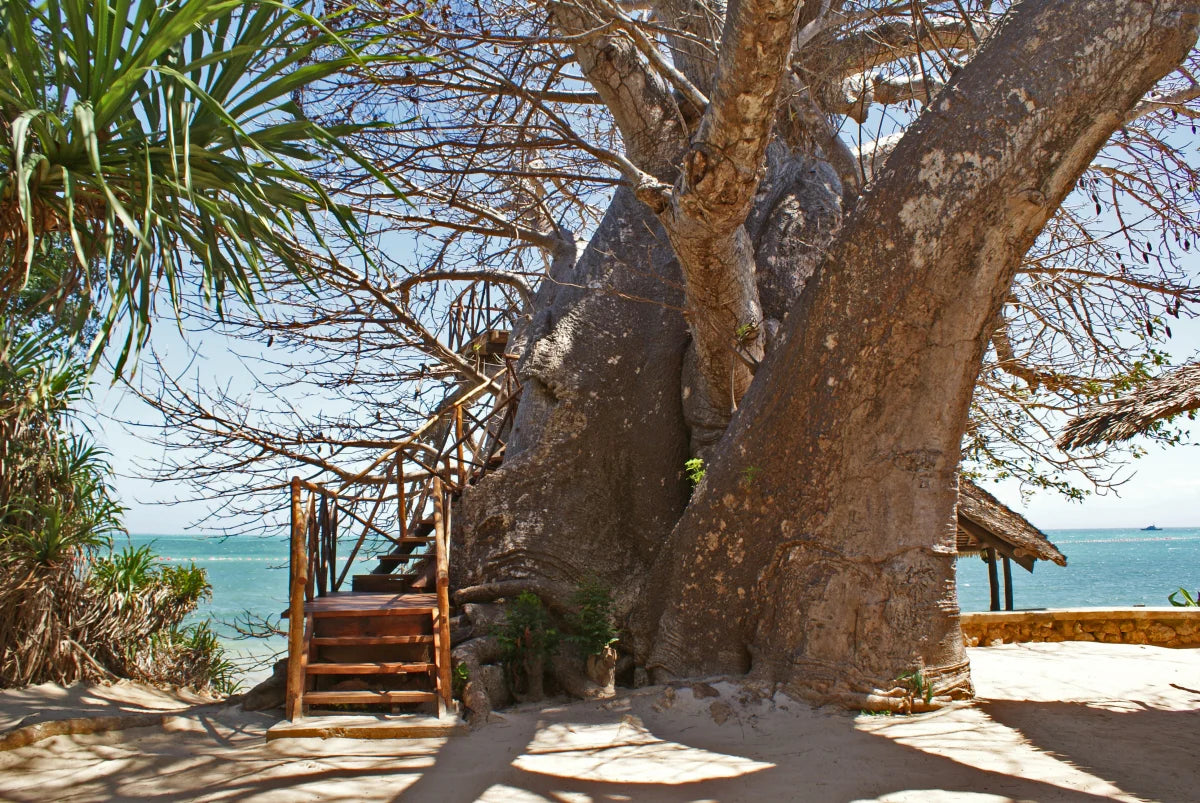 Fumba Beach Lodge Zanzibar 2024